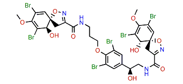 11-Hydroxyfistularin 3